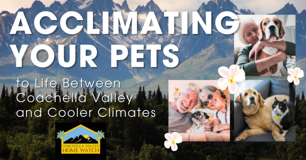 Acclimating Your Pets to Life Between Coachella Valley and Cooler Climates