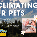 Acclimating Your Pets to Life Between Coachella Valley and Cooler Climates