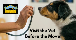 Visit the Vet Before the Move