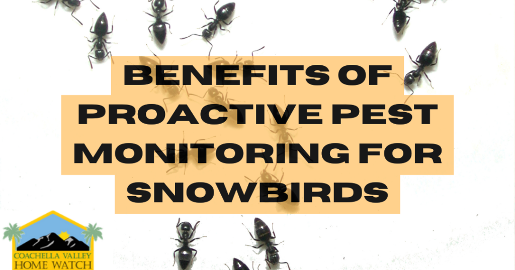 Benefits of Proactive Pest Monitoring for Snowbirds