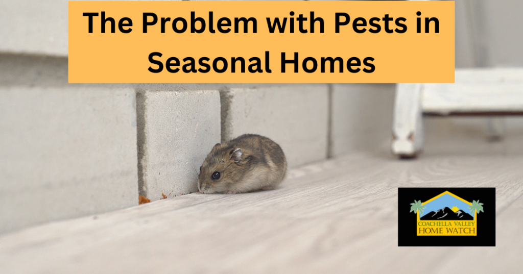 The Problem with Pests in Seasonal Homes