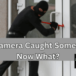 Your Camera Caught Something—Now What?