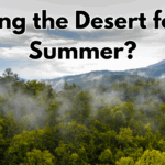 Your Snowbird Sanctuary: Coachella Valley Home Watch Solutions