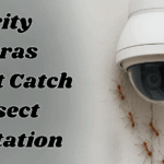 Why Security Cameras Won’t Catch an Insect Infestation—Until It’s Too Late