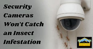 Why Security Cameras Won’t Catch an Insect Infestation—Until It’s Too Late