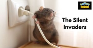 The Silent Invaders: Desert Rodents and Your Empty Home