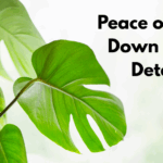 Beyond Security: Protecting Your Plants with Professional Home Watch Care