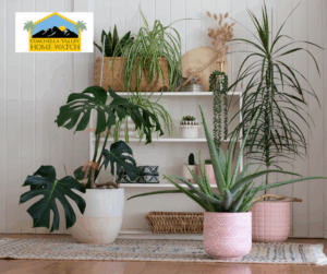 Home watch plant watering concierge service in a desert home