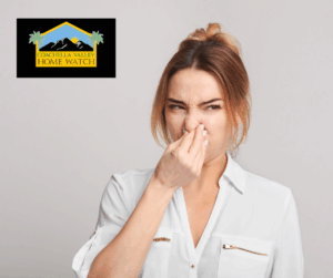 How often should my home be checked for moisture or humidity?
