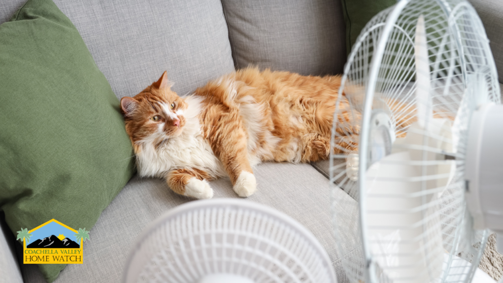 Overnight temperatures affecting a vacant home during an extreme heat warning